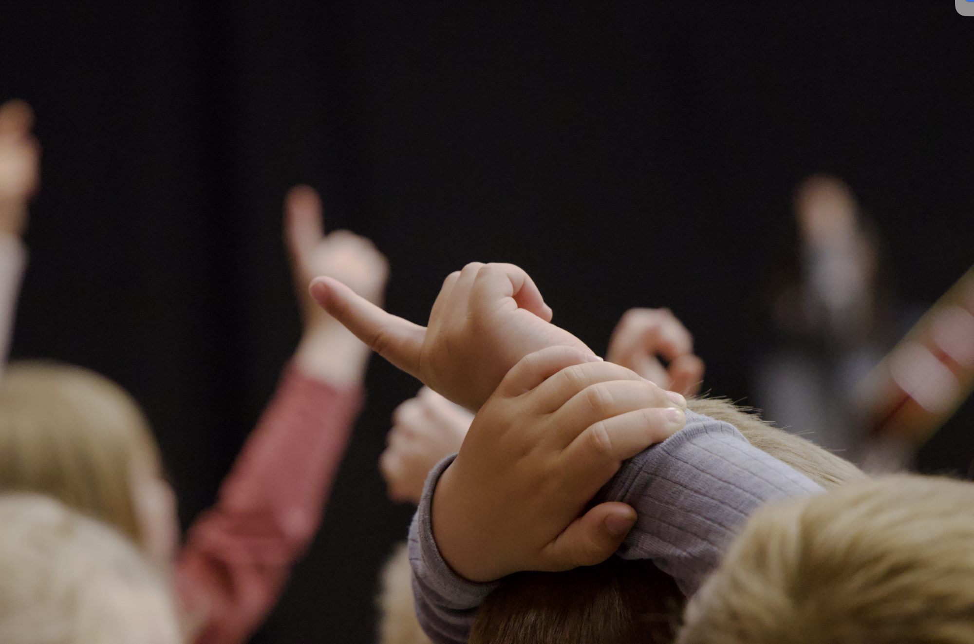 Act It Out - teater som sprogtræning