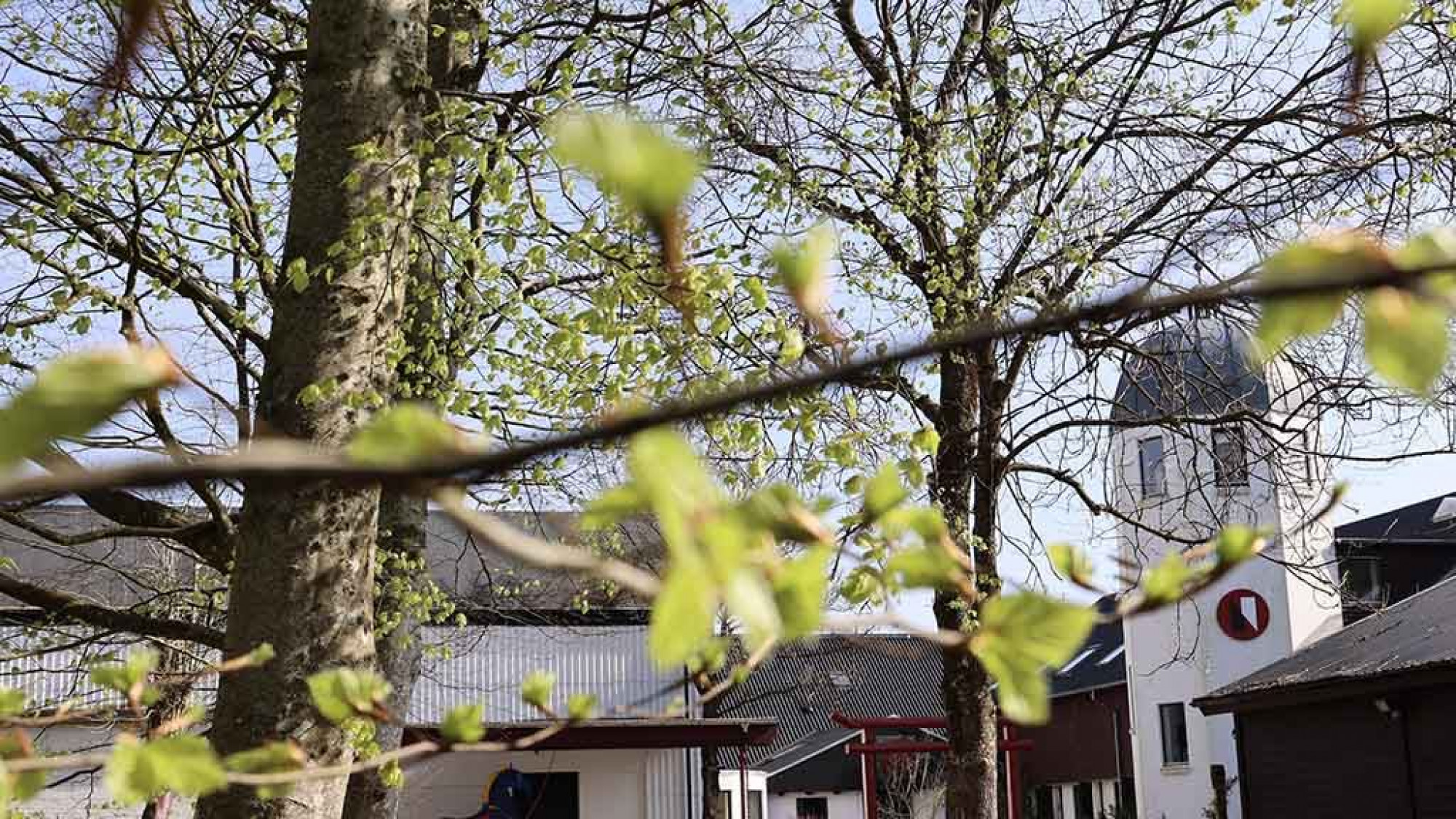 Nordisk Teaterlaboratorium overdrager 55 års teaterhistorie til Det Kongelige Bibliotek 